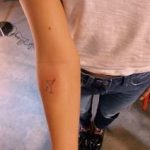 De beste Tatovering en Hov