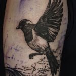 De beste tatovering i Larkollen